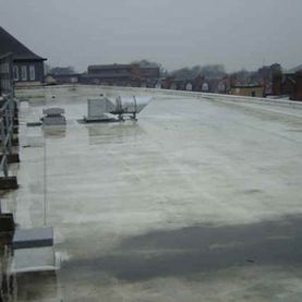 survey of their roof