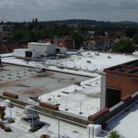 survey of their roof